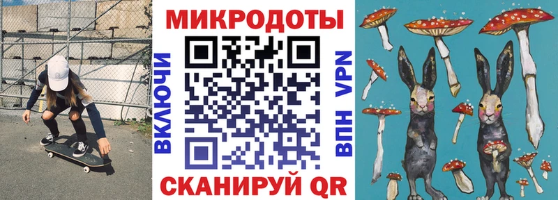 мориарти клад  Калуга  Галлюциногенные грибы прущие грибы 